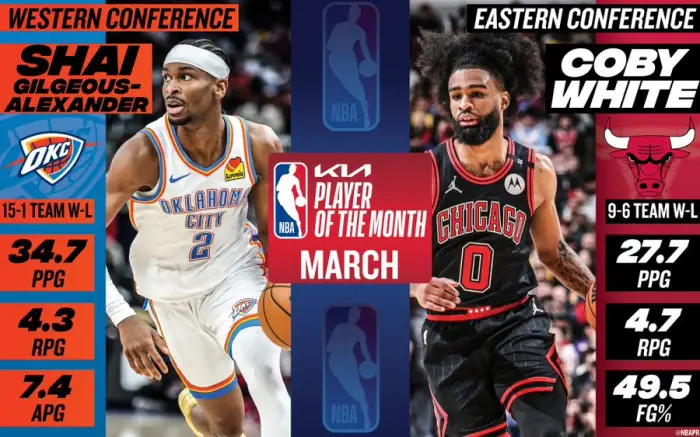 NBA常规赛倒计时，亚特兰大老鹰今夜强势反弹，细节引发关注，质疑声四起，阵容厚度经受考验的简单介绍-九游互动