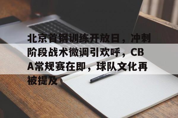 北京首钢训练开放日，冲刺阶段战术微调引欢呼，CBA常规赛在即，球队文化再被提及的简单介绍-九游平台