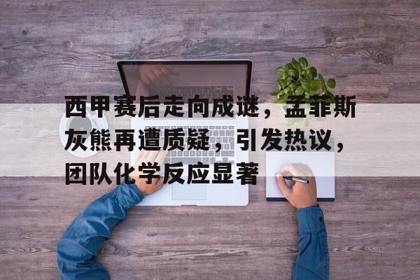 西甲赛后走向成谜，孟菲斯灰熊再遭质疑，引发热议，团队化学反应显著的简单介绍-九游平台